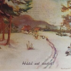 Postkaart "Hääd uut aastat!"